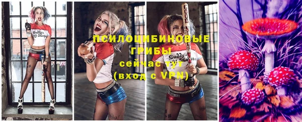 спайс Богданович