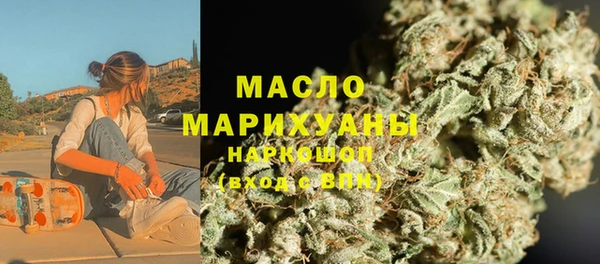 крисы Слюдянка