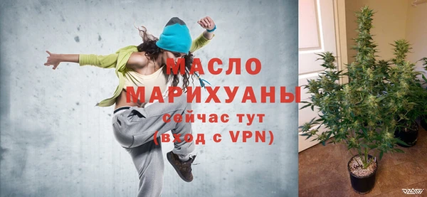 крисы Слюдянка